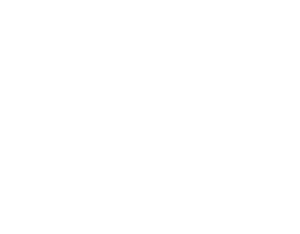 Karl Griscti